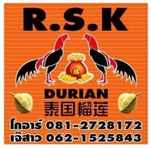 รูปแผงทุเรียน