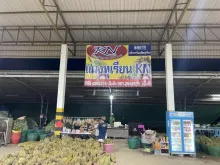 รูปแผงทุเรียน
