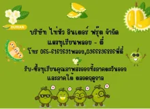 รูปแผงทุเรียน