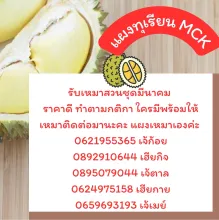 รูปแผงทุเรียน